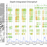 Depth-Integreated Chlorophyll