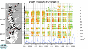 Depth-Integrated Chlorophyll