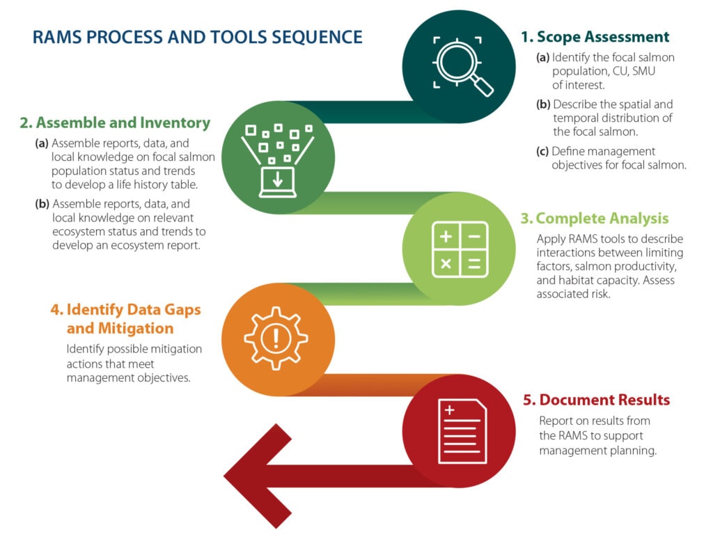 Stepwise RAMS process and tools sequence for completion of a risk assessment and development of a mitigation report to inform an integrated recovery plan for a local salmon population, salmon conservation unit (CU) or stock management unit (SMU).