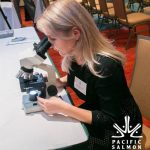 Examining phytoplankton samples with a compound light microscope