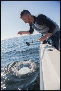 Lowering the Secchi disk into the water to measure water clarity